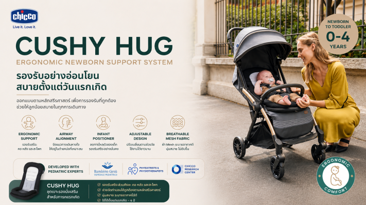 Chicco Cushy Hug