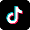 Tiktok Logo Footer