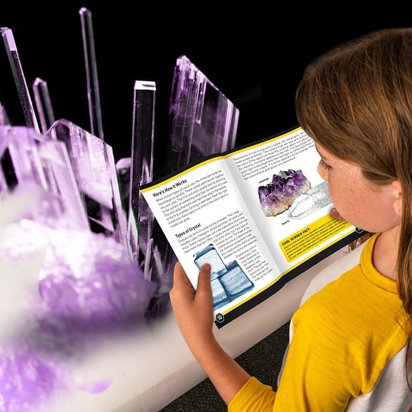 NG120029680000 NAT GEO PURPLE CRYSTAL GROWING LAB 2