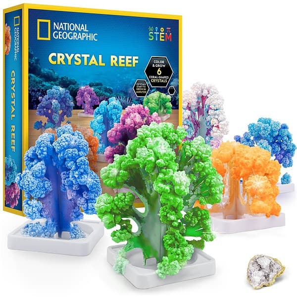 NG120621820000 NAT GEO CRYSTAL REEF 8