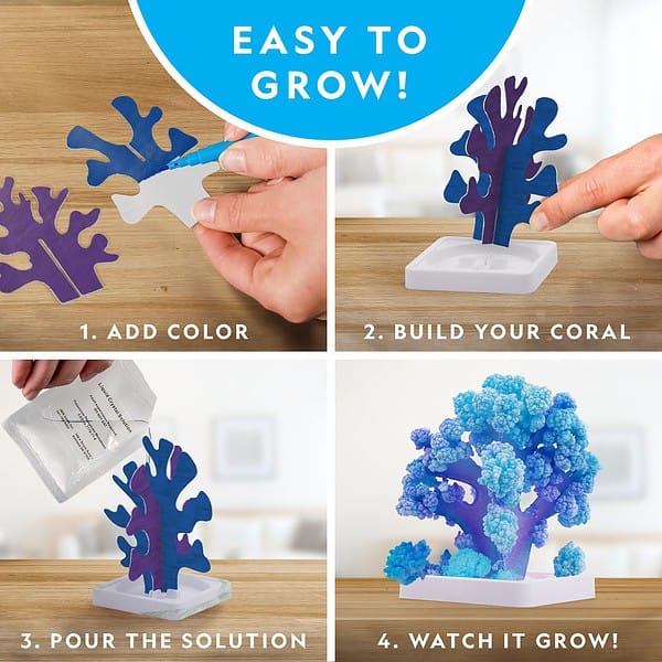 NG120621820000 NAT GEO CRYSTAL REEF 6
