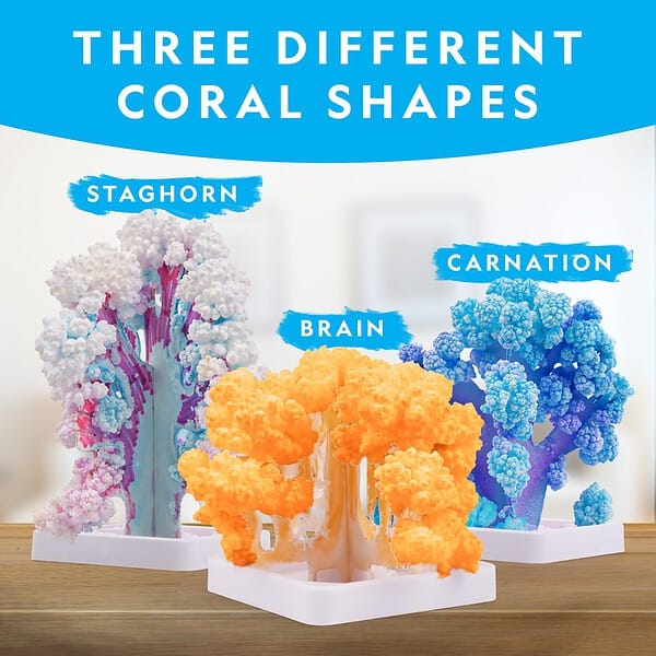 NG120621820000 NAT GEO CRYSTAL REEF 5