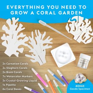 NG120621820000 NAT GEO CRYSTAL REEF 3