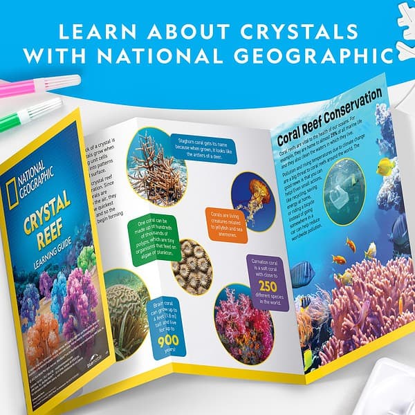 NG120621820000 NAT GEO CRYSTAL REEF 2