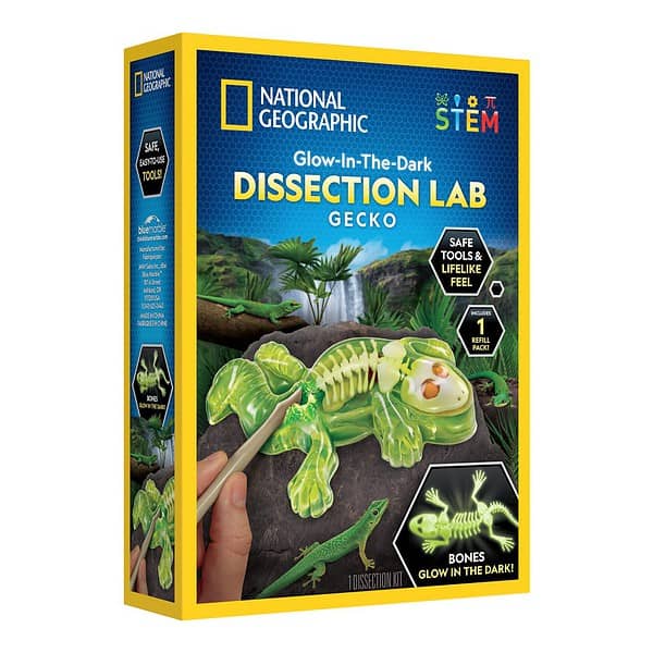 NG120623030000 NAT GEO GECKO DISSECTION LAB 11