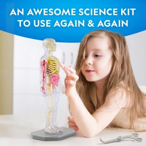 NG120623050000 NAT GEO HUMAN BODY SCIENCE KIT 3