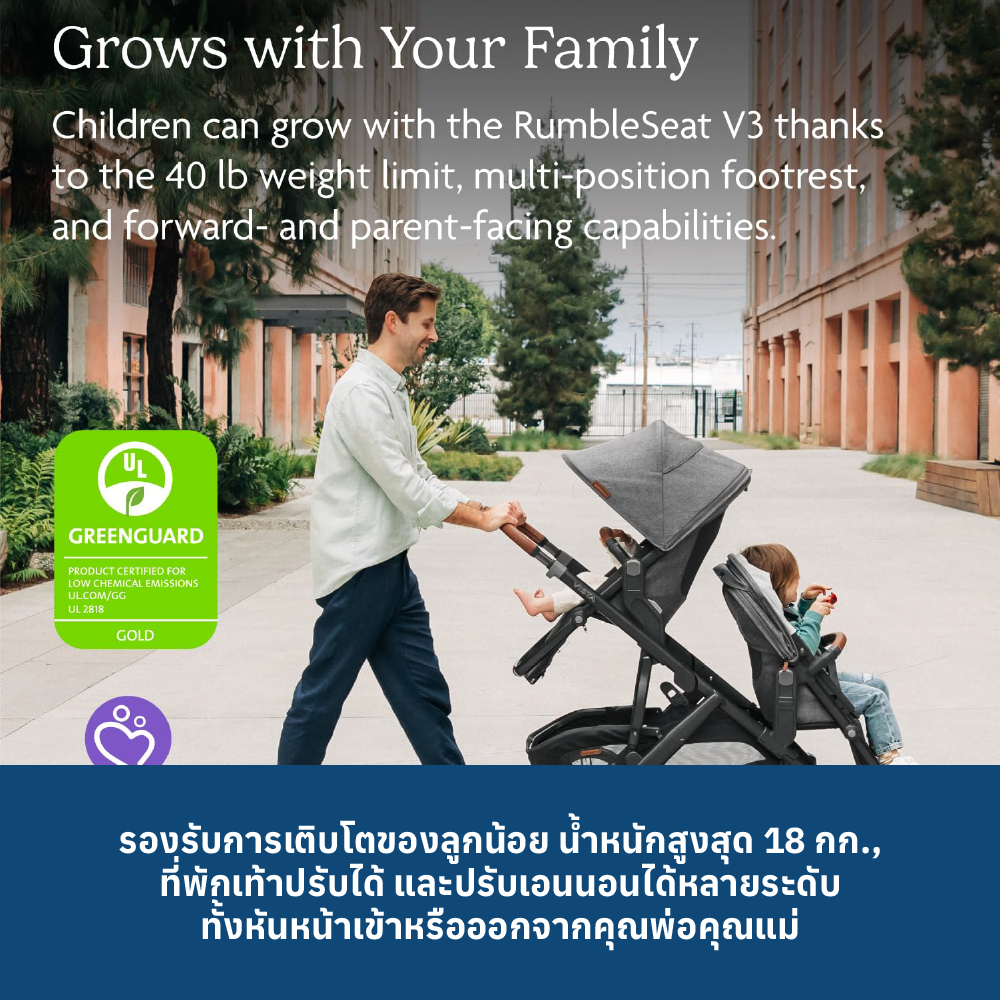 3 UPPABABY VISTA RUMBLESEAT V3 - GREYSON
