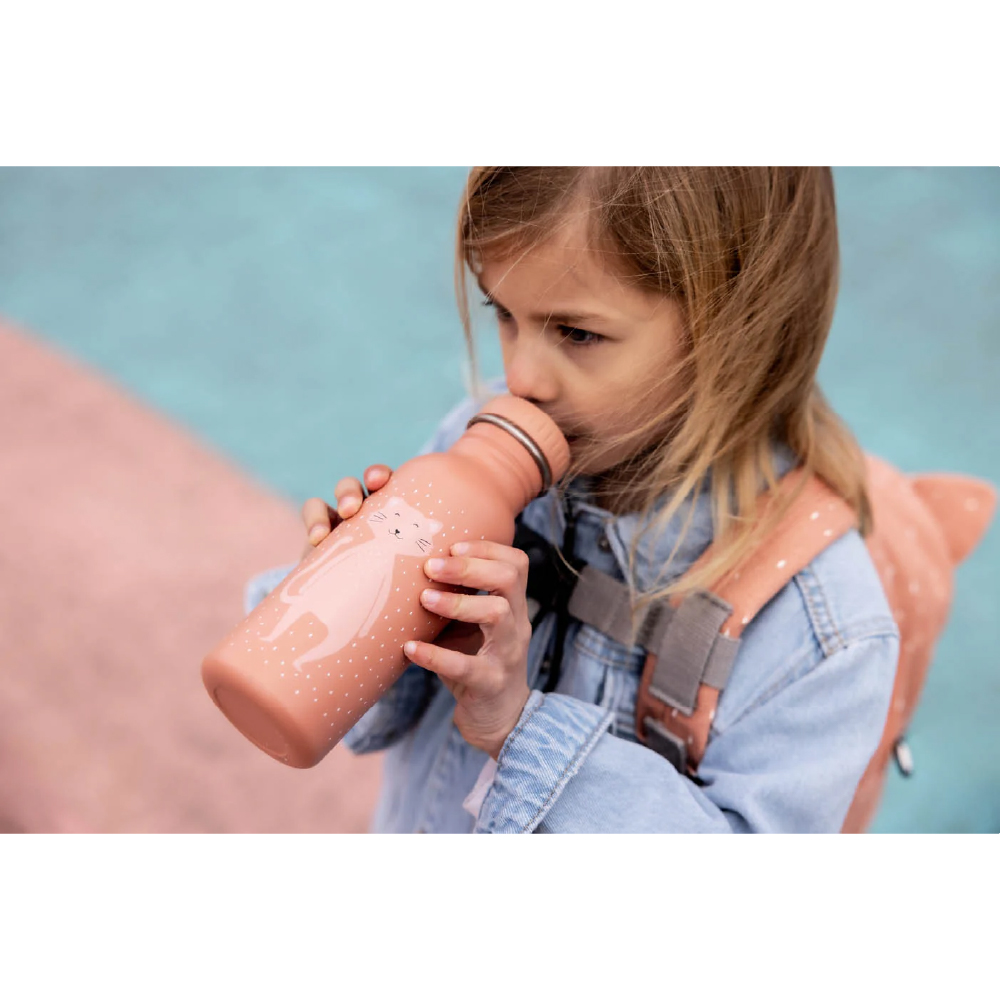 TRIXIE STAINLESS STEEL BOTTLE 500ML - CAT ขวดน้ำสแตนเลสลาย - Image 6