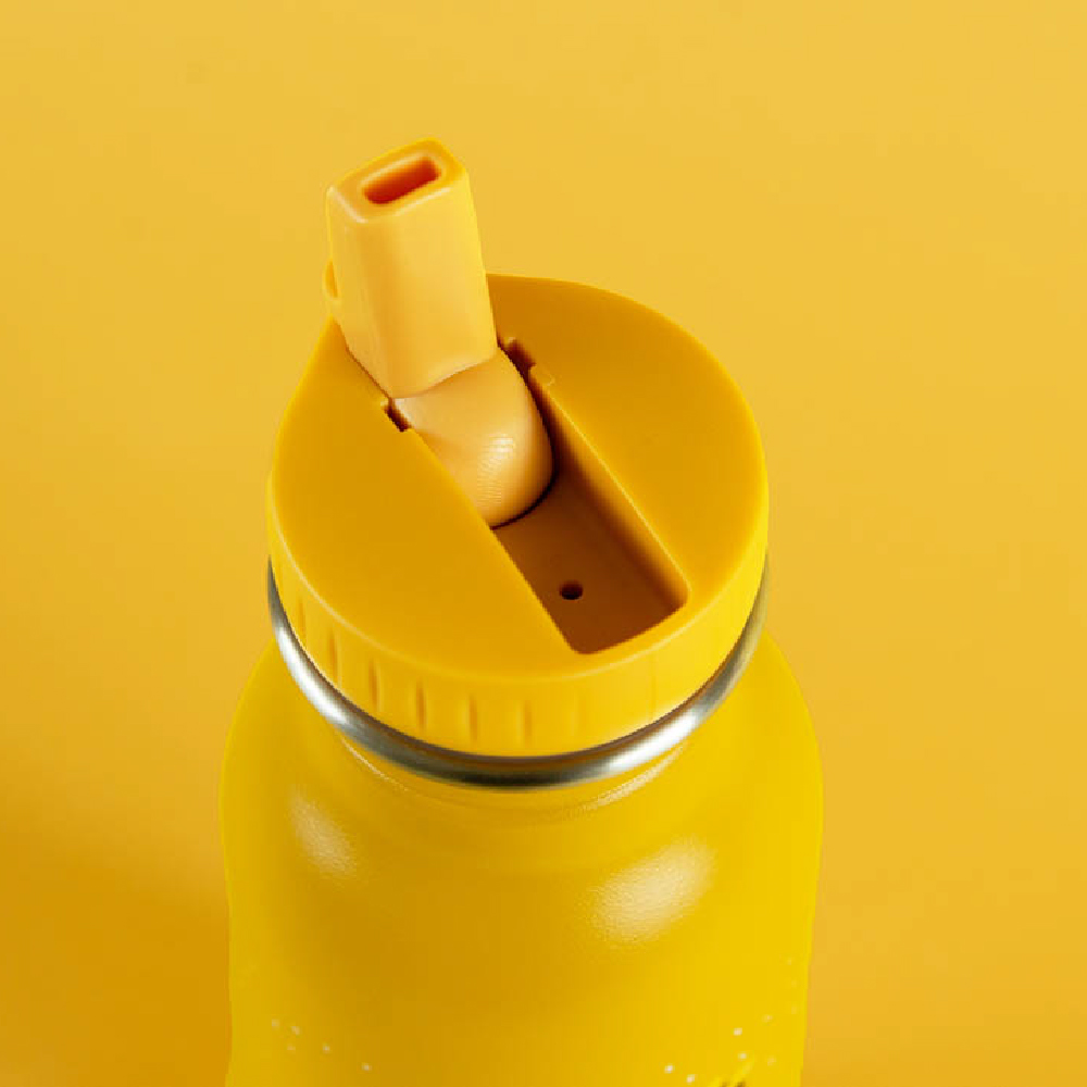 TRIXIE STAINLESS STEEL BOTTLE 500ML- MR.LION กระบอกน้ำสแตนเลส - Image 8