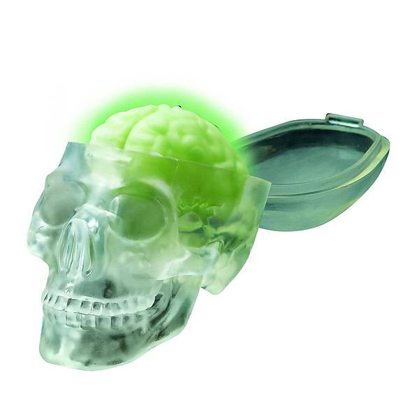 FM120033130000 4M Kidz Labs - Glow Skull(2)