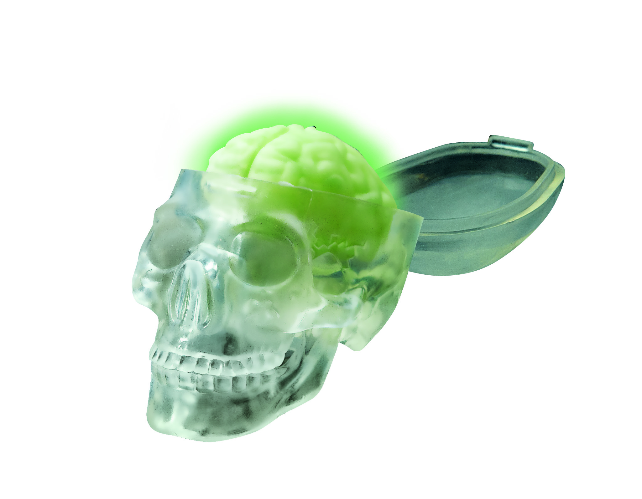 FM120033130000 4M Kidz Labs - Glow Skull(2)