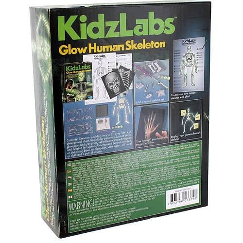 FM120033750000 4M Kidz Labs - Glow Human Skeleton(2)