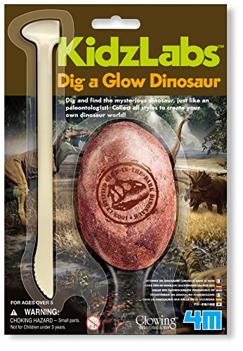 FM120059200000 4M Kidz Labs - Dig A Glow Dinosaur ASST(1)